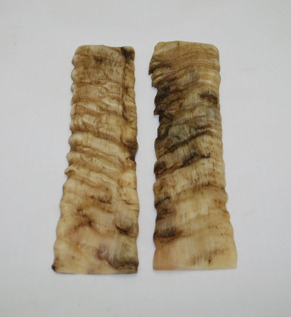 NB903F24 Merino Ram&#39;s Horn Flat Block Scales