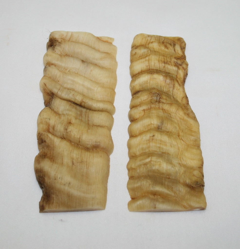 NB903F33 Merino Ram&#39;s Horn Flat Block Scales