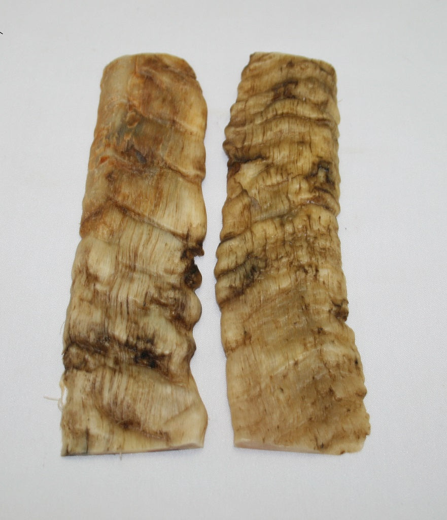 NB903F36 Merino Ram&#39;s Horn Flat Block Scales