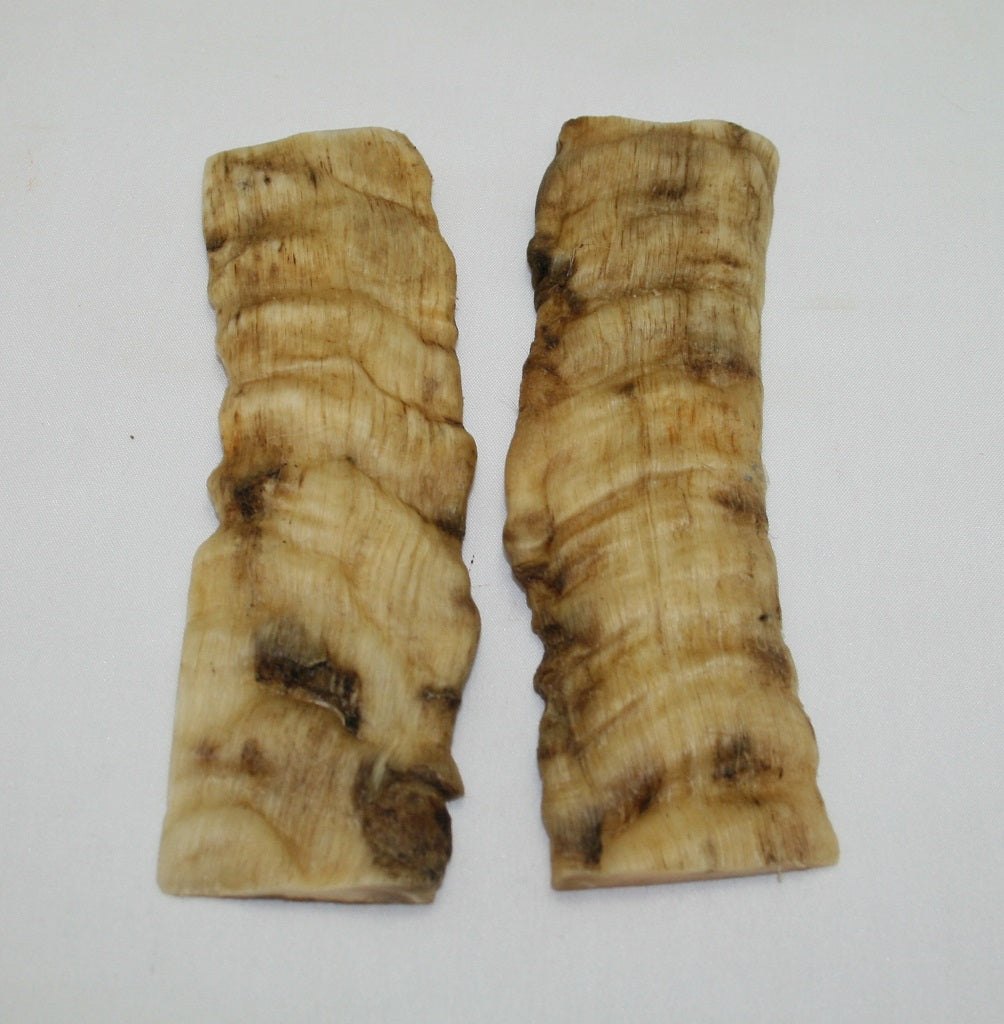 NB903F45 Merino Ram&#39;s Horn Flat Block Scales