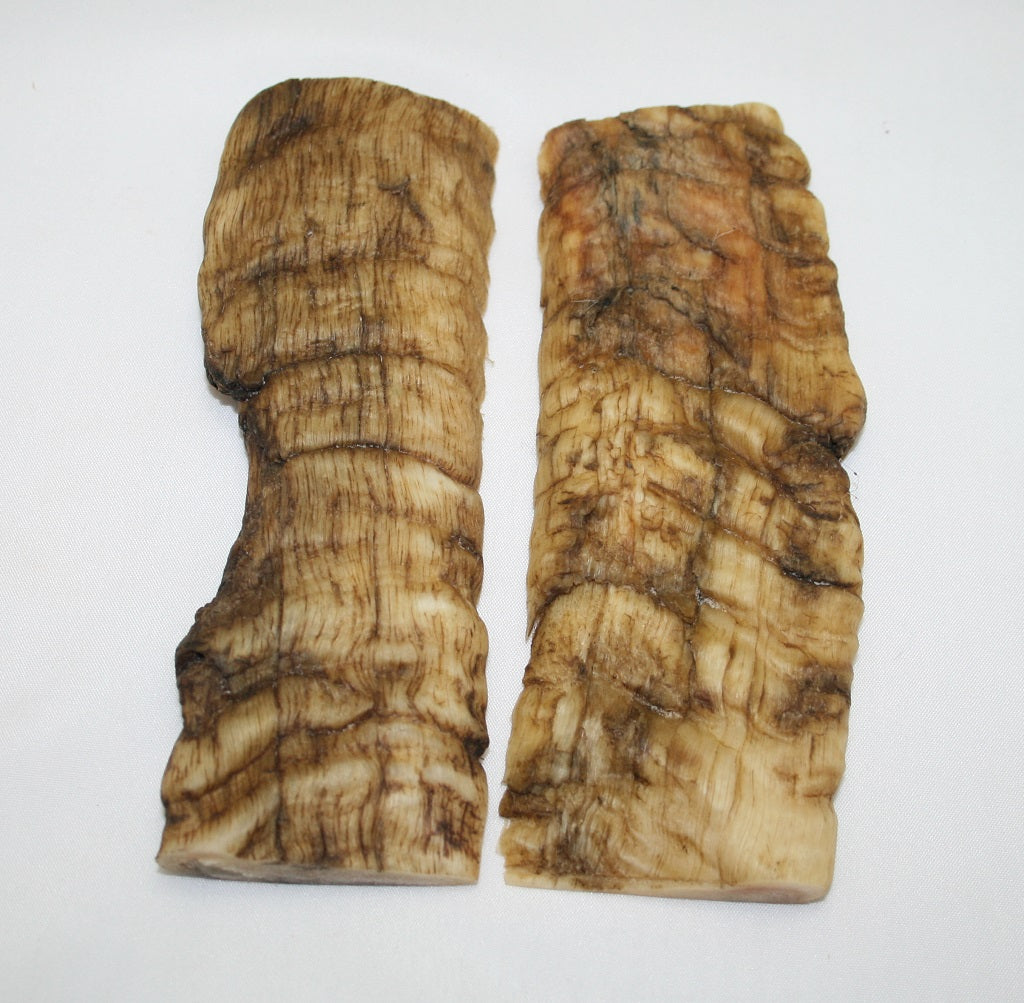 NB903F63 Merino Ram&#39;s Horn Flat Block Scales