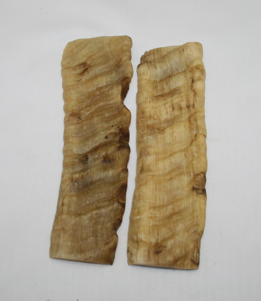 NB903F72 Merino Ram&#39;s Horn Flat Block Scales