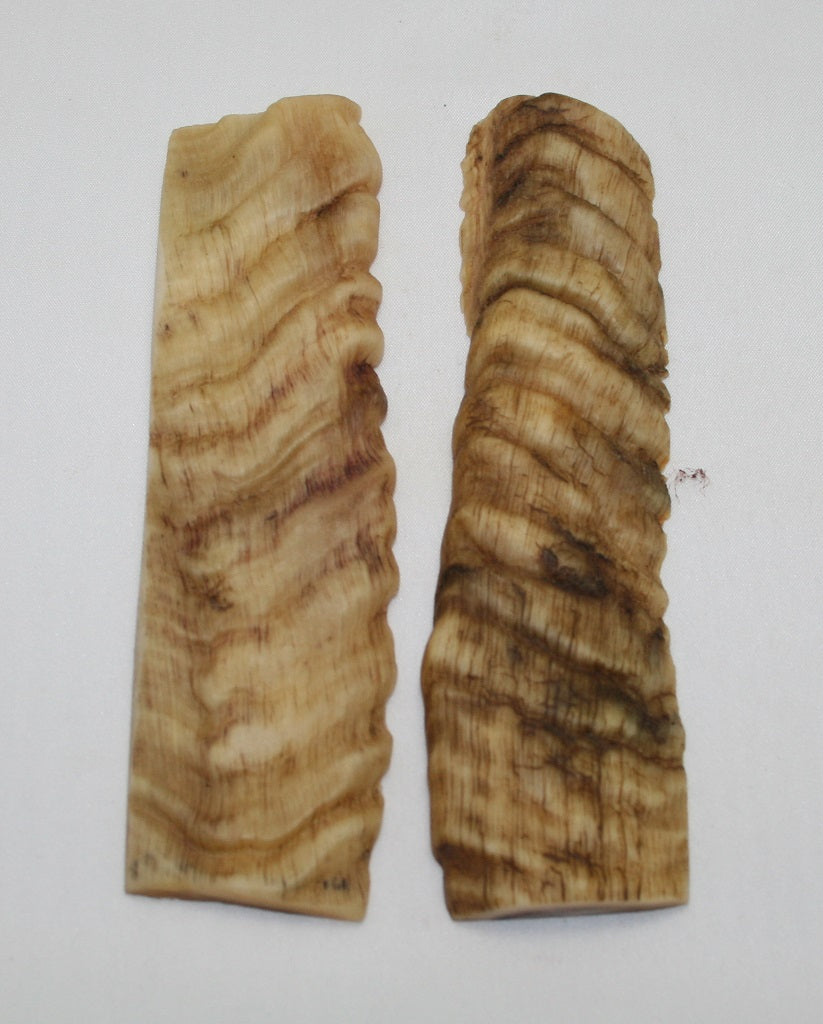 NB903NL10 Merino Ram&#39;s Horn Flat Block Scales