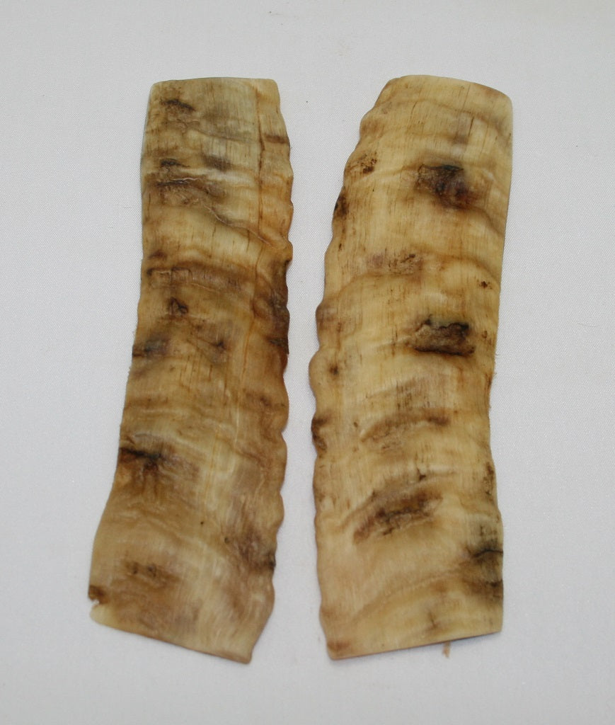 NB903NL16 Merino Ram&#39;s Horn Flat Block Scales