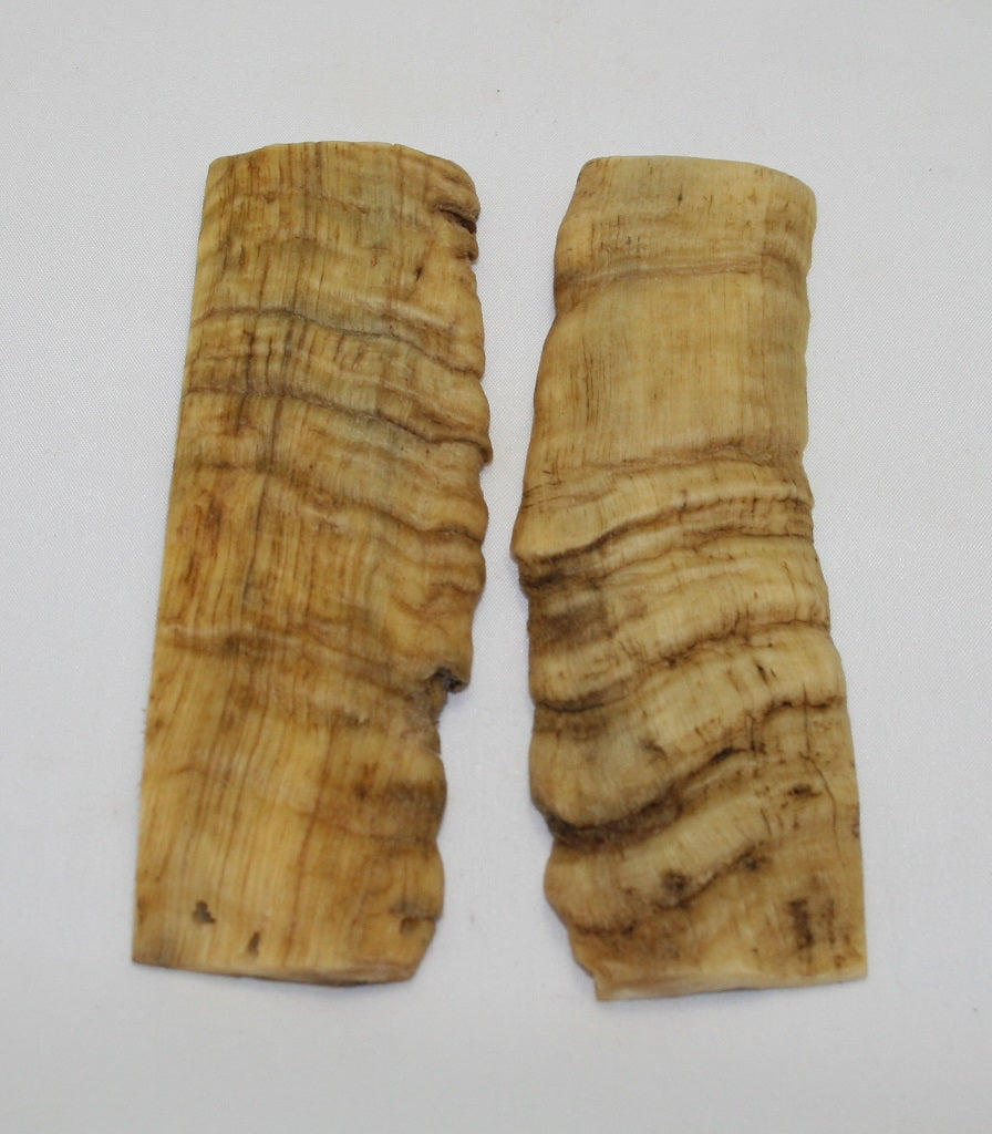 NB903NL26 Merino Ram&#39;s Horn Flat Block Scales