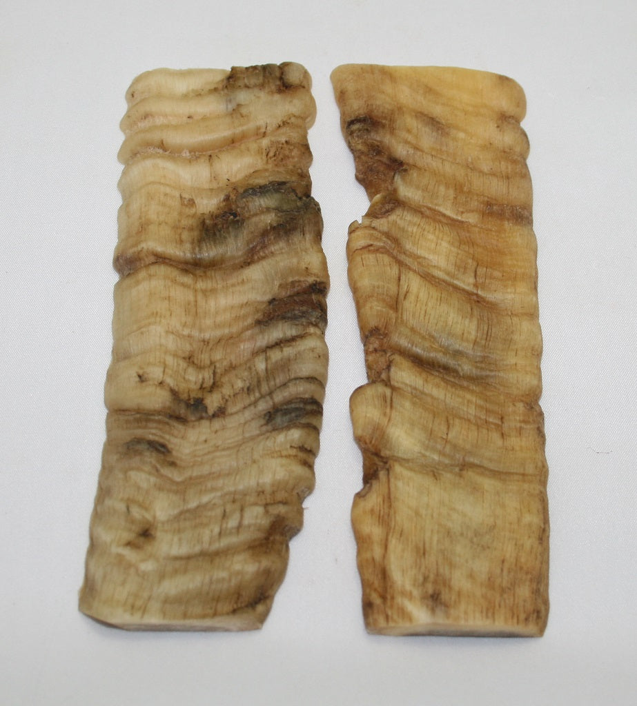 NB903NL33 Merino Ram&#39;s Horn Flat Block Scales