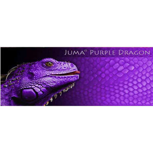 Purple Dragon Juma - Jantz Supply 