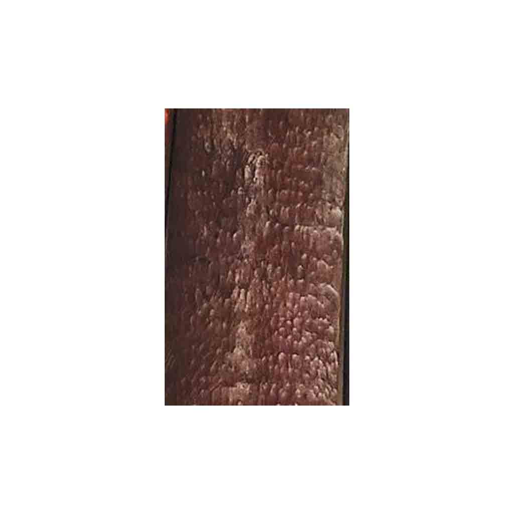 Snake Skin Buffalo Horn - Jantz Supply