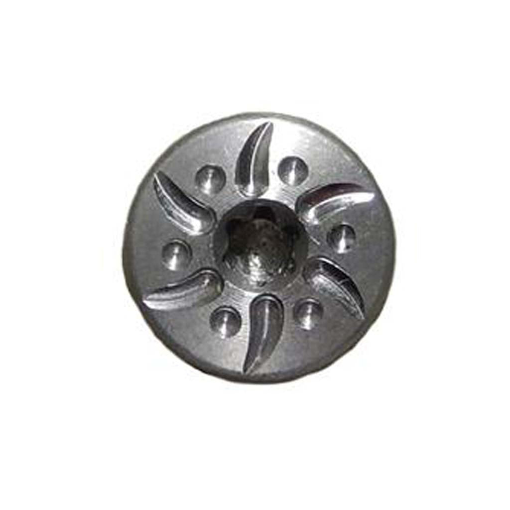 Solar Flares Torx Screw in Stainless Steel 