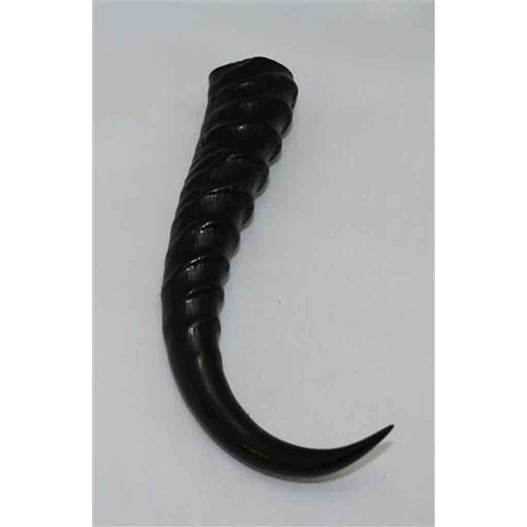 Male Springbok Horns &amp; Scales - Jantz Supply 