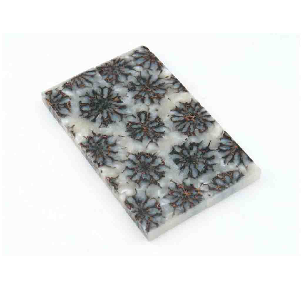 White Sweet Gum Pod Scales - Jantz Supply 