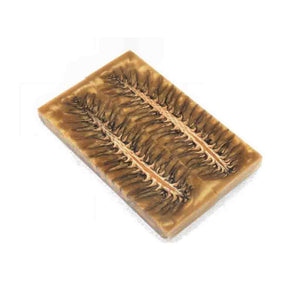 Yellow Resined Pine Cone Scales - Jantz Supply 