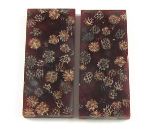 NB1210B Casuarina Pods in Resin - Jantz Supply