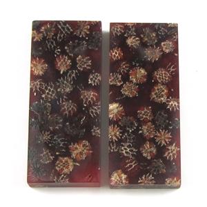 NB1210C Casuarina Pods in Resin - Jantz Supply