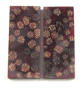 NB1210K Casuarina Pods in Resin - Jantz Supply