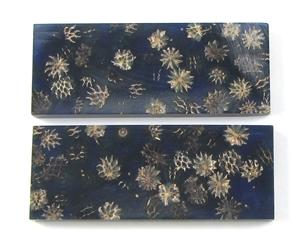 NB1210Q Casuarina Pods in Resin - Jantz Supply