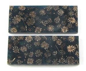 NB1210S Casuarina Pods in Resin - Jantz Supply