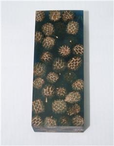 NB1210S2 Casuarina Pods in Resin - Jantz Supply