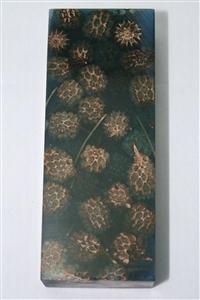 NB1210S4 Casuarina Pods in Resin - Jantz Supply