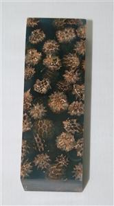 NB1210T13 Casuarina Pods in Resin - Jantz Supply