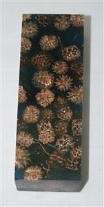 NB1210T14 Casuarina Pods in Resin - Jantz Supply