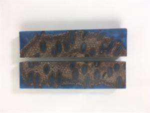 NB1213V4 Banksia Pods in Resin - Jantz Supply