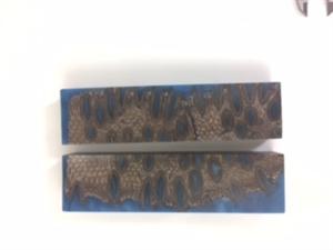 NB1213V6 Banksia Pods in Resin - Jantz Supply