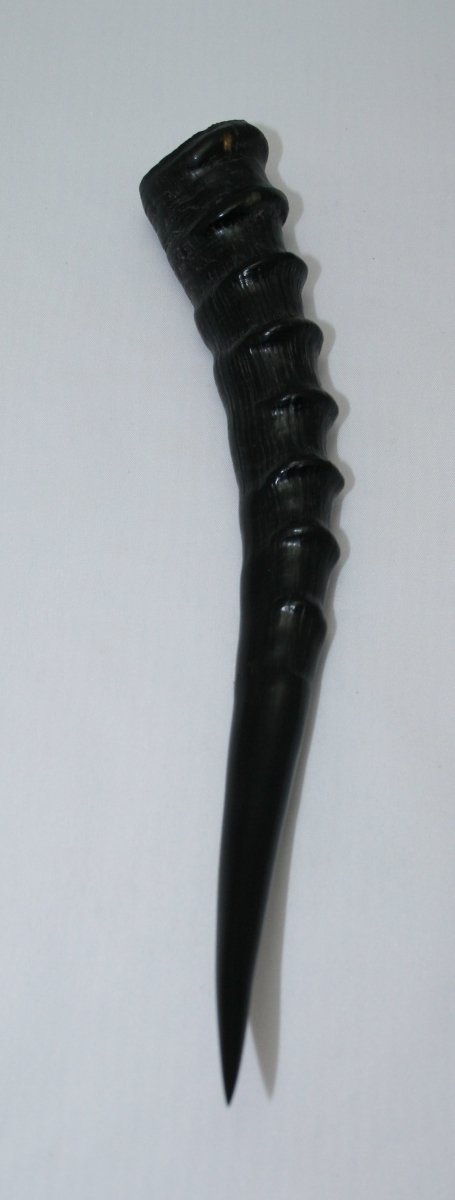 NB301S14 Blesbok Whole Horn - Jantz Supply