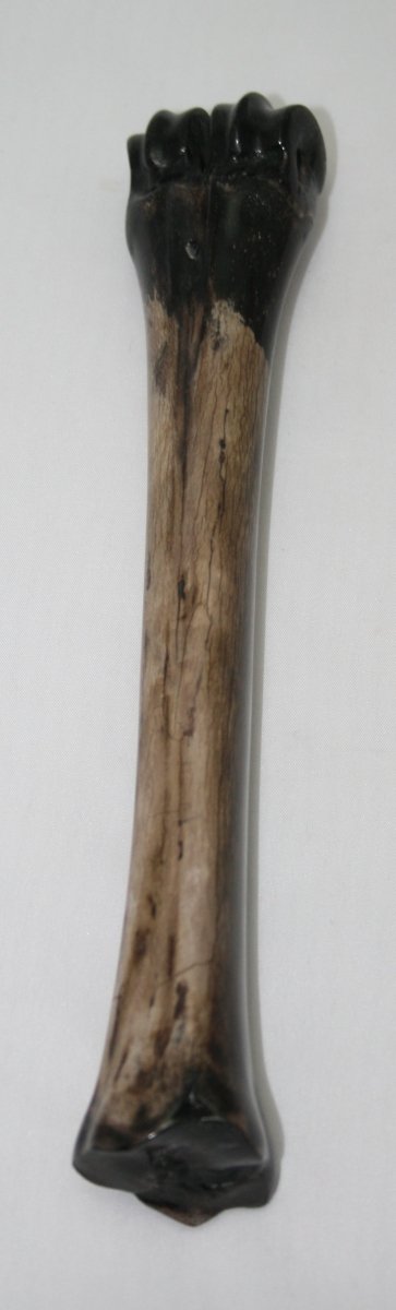 NB601A13 Wildebeest Bone - Jantz Supply