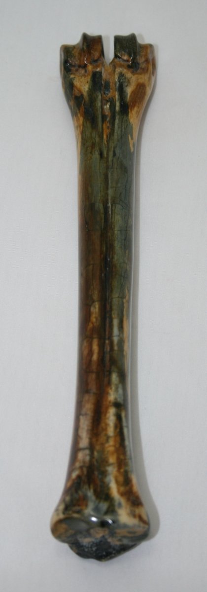 NB601A6 Wildebeest Bone - Jantz Supply