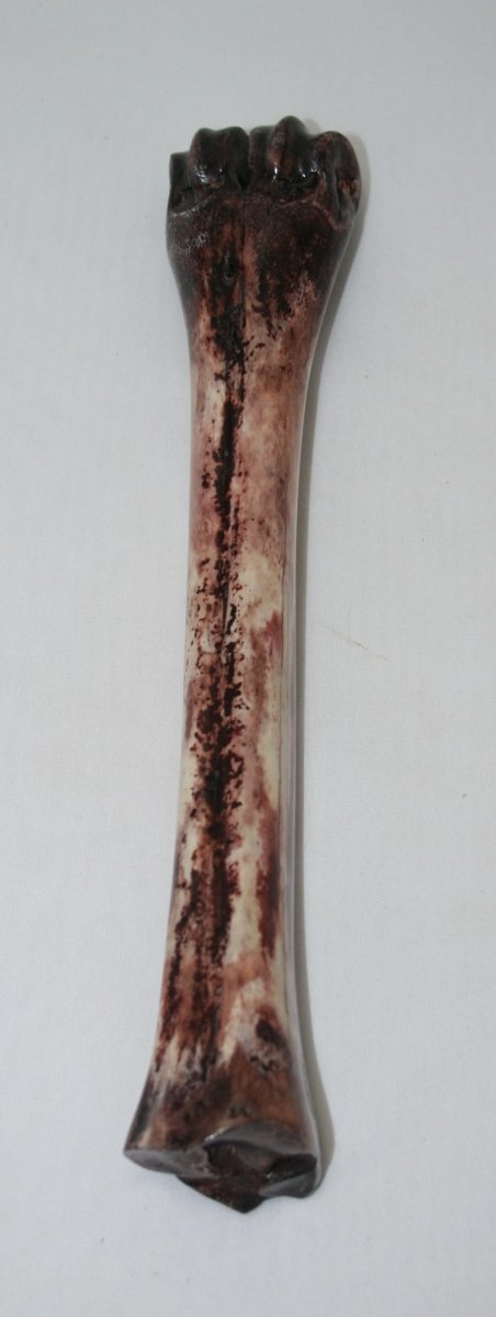NB601YY15 Wildebeest Bone