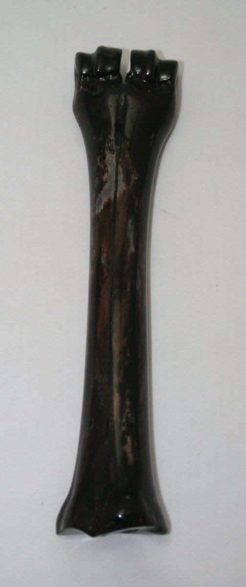 NB601YY26 Wildebeest Bone
