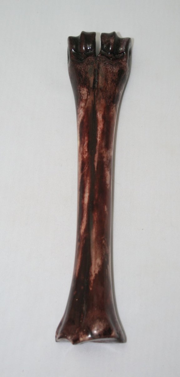 NB601YY43 Wildebeest Bone