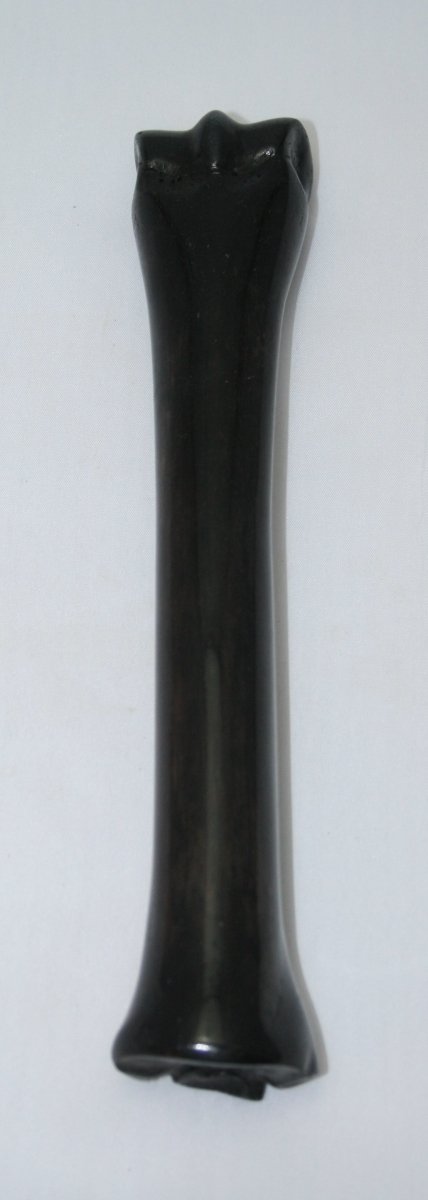 NB701L4 Zebra Bone - Jantz Supply