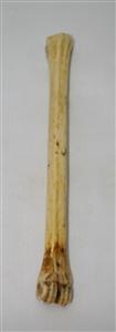 NB801A10 Impala Bone