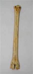 NB801A13 Impala Bone - Jantz Supply