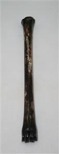 NB801A15 Impala Bone