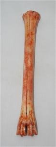 NB801A22 Impala Bone