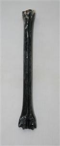 NB801A27 Impala Bone