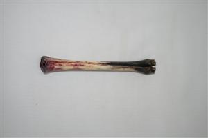 NB801A41 Impala Bone - Jantz Supply