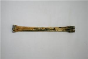 NB801A45 Impala Bone - Jantz Supply