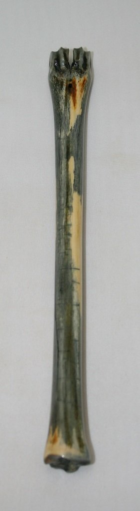 NB801FM1 Impala Bone