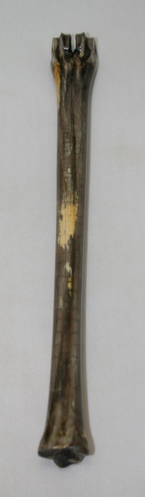 NB801FM5 Impala Bone - Jantz Supply