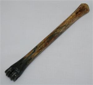 NB801G12 Impala Bone