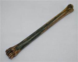 NB801G15 Impala Bone