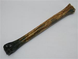 NB801G17 Impala Bone - Jantz Supply