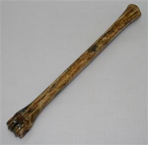 NB801G19 Impala Bone - Jantz Supply