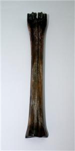 NB801G1G Impala Bone - Jantz Supply