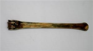 NB801J10 Impala Bone - Jantz Supply