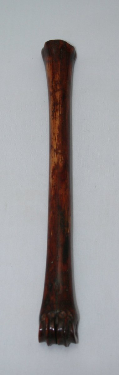 NB801L11 Impala Bone